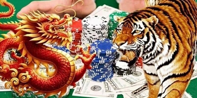 Hướng dẫn cách chơi Rồng hổ